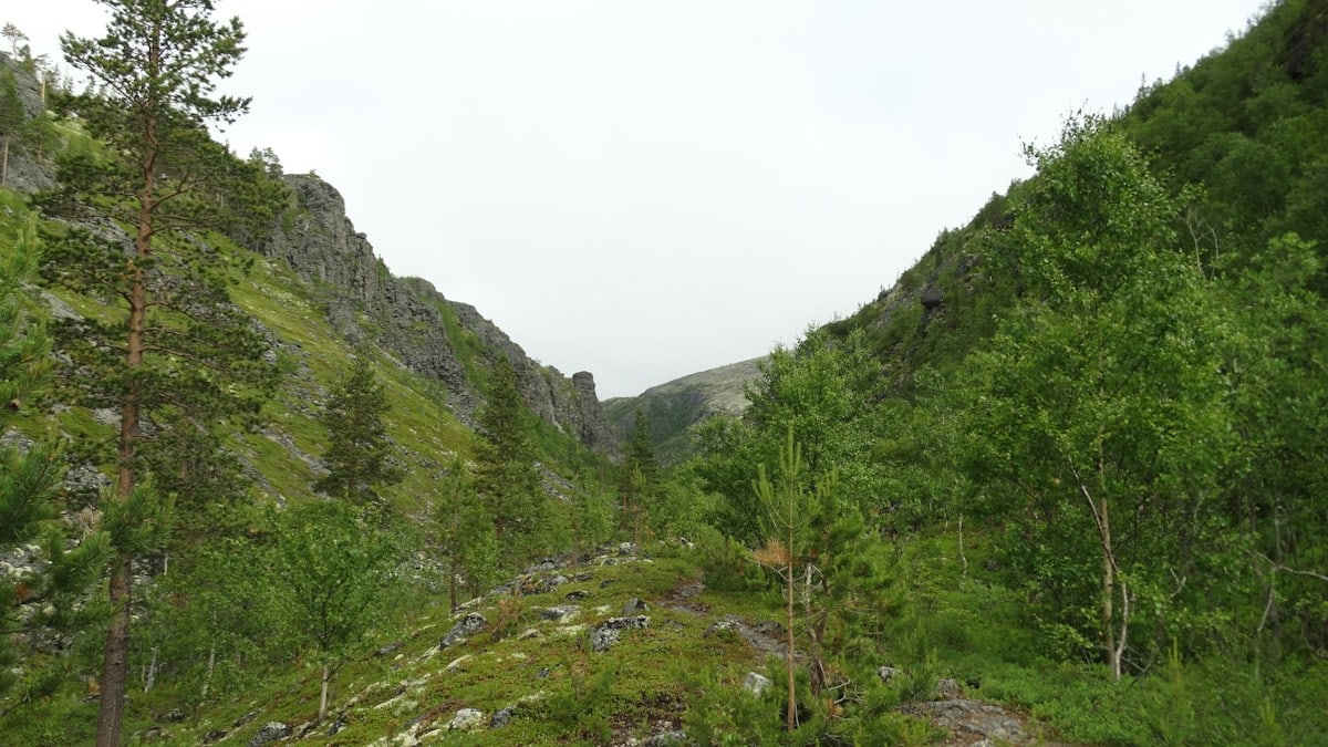 Perede kvaliteetaeg: tegevused koosolekuks